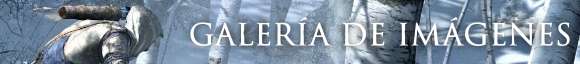 AC3_banner_02